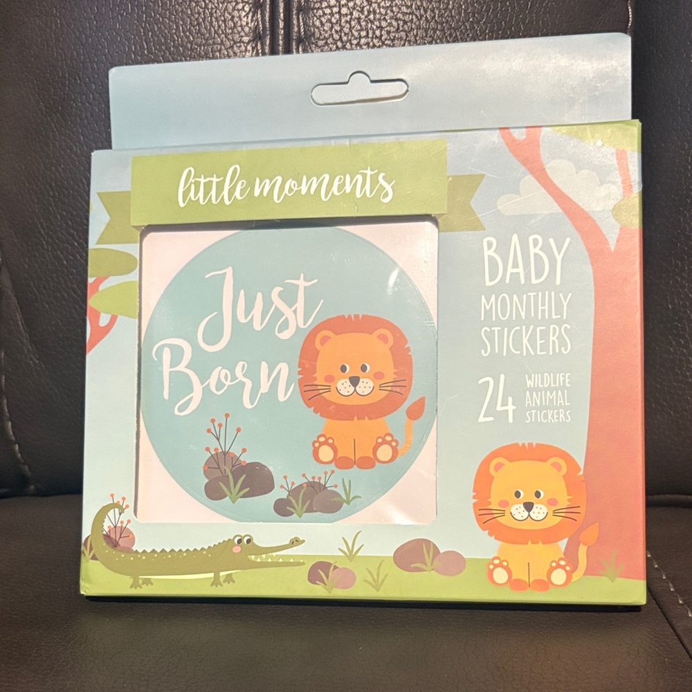 Baby Monthly Stickers - Orange and Green